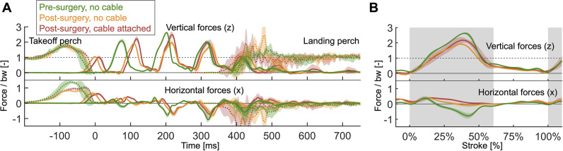 Figure 1—figure supplement 2.