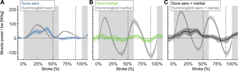 Figure 7—figure supplement 4.