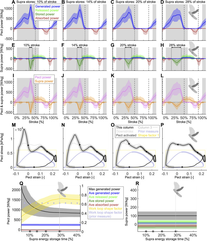 Figure 5—figure supplement 2.