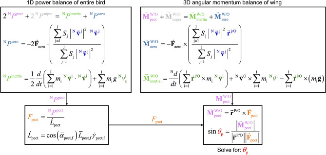 Figure 7—figure supplement 1.