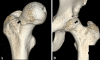 Fig. 2A–B