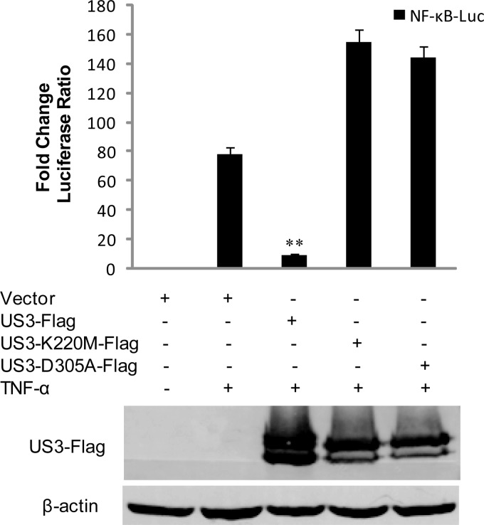 FIG 2