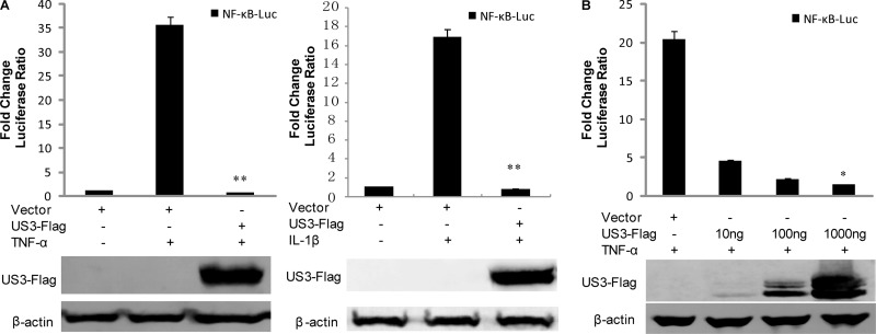 FIG 1