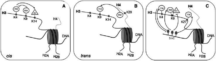 Fig. 1