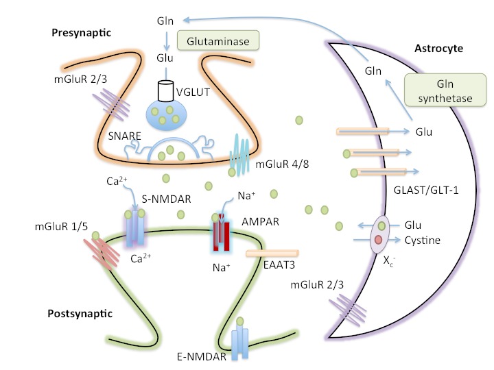 Figure 1.