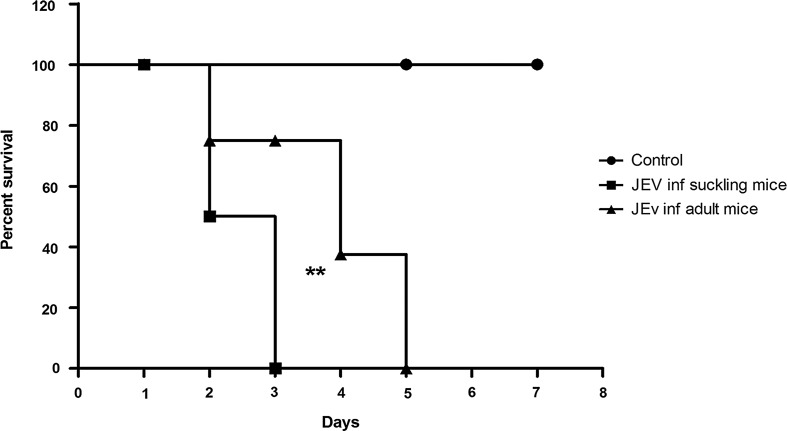 FIG. 5.