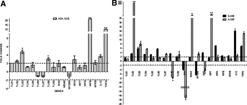 FIG. 2.