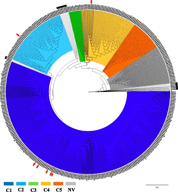 Fig. 3