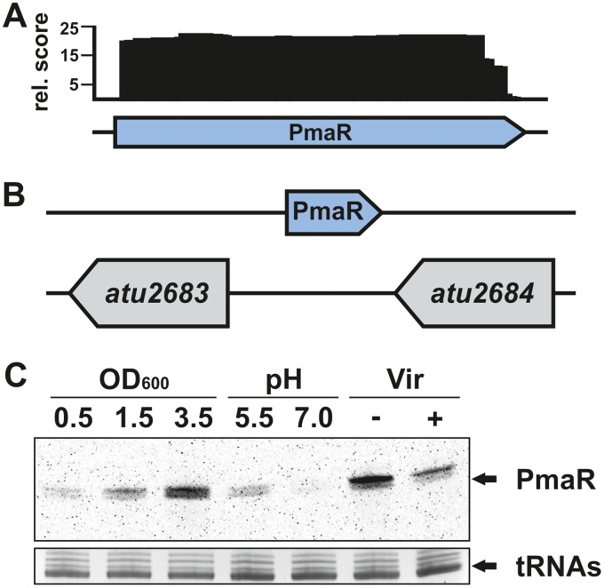 FIG 1