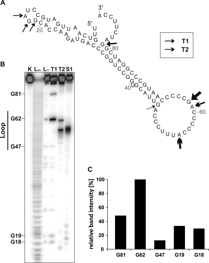 FIG 2