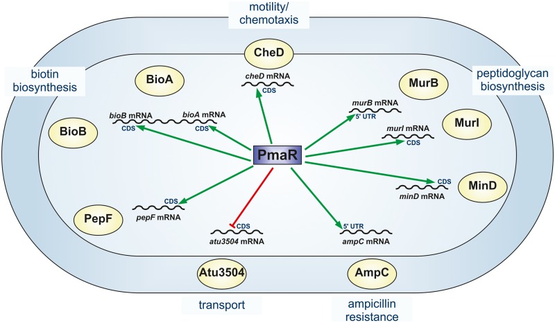 FIG 11