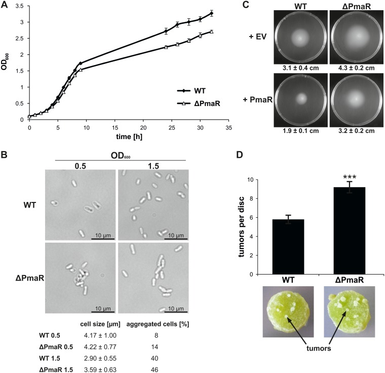 FIG 4