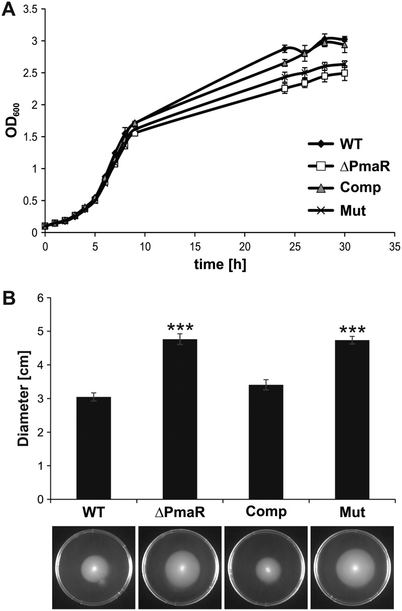 FIG 6