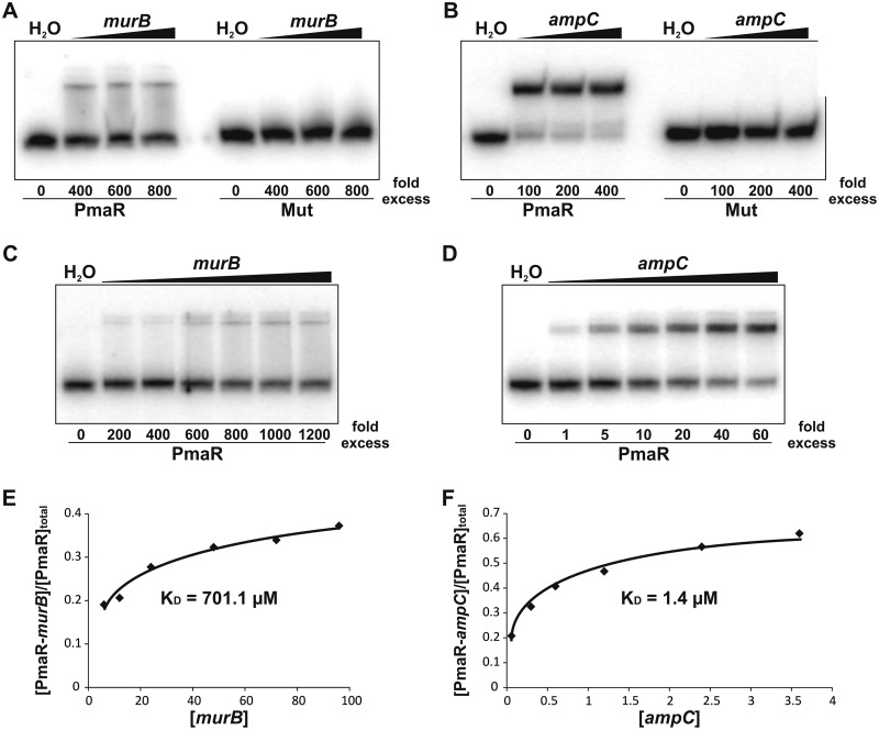 FIG 9