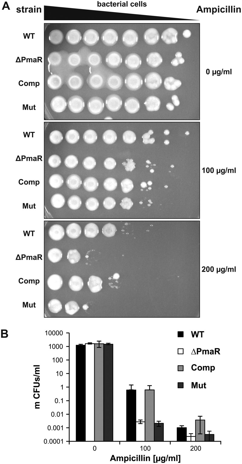 FIG 10