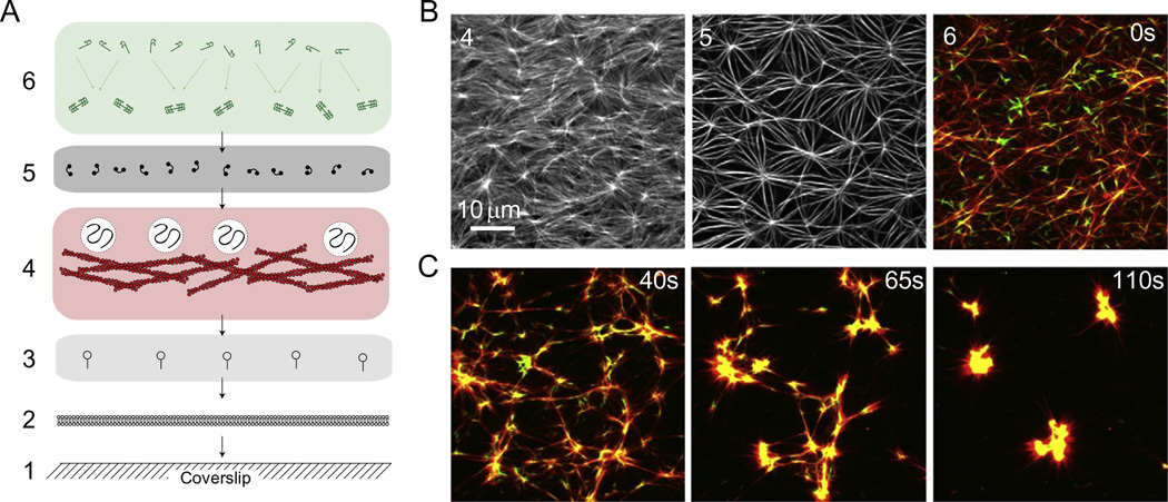 Figure 15.4