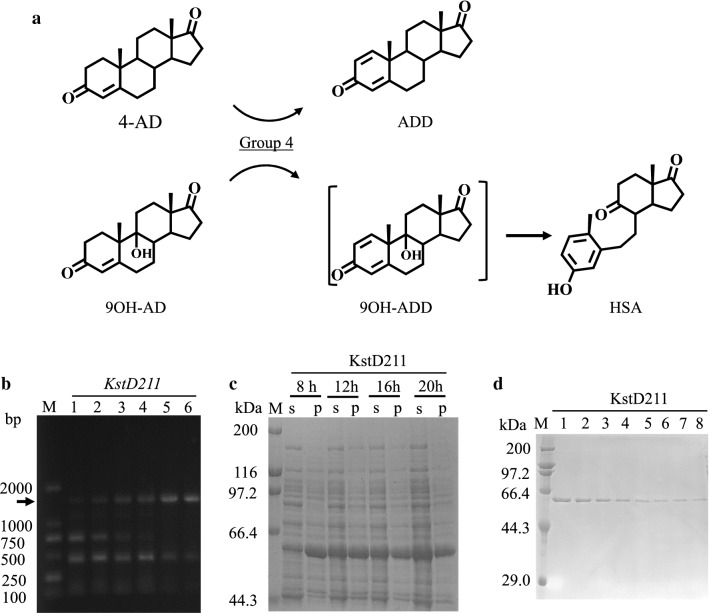 Fig. 8