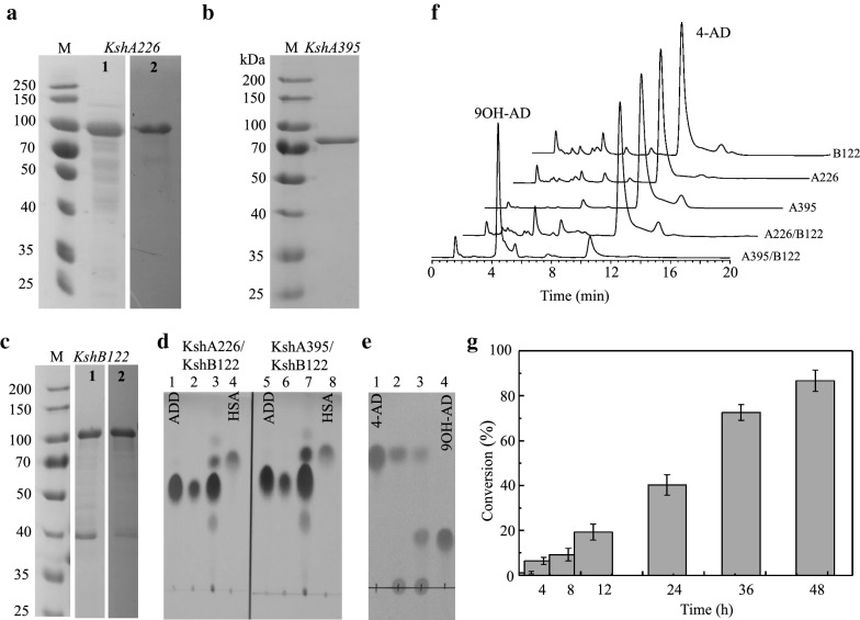 Fig. 11