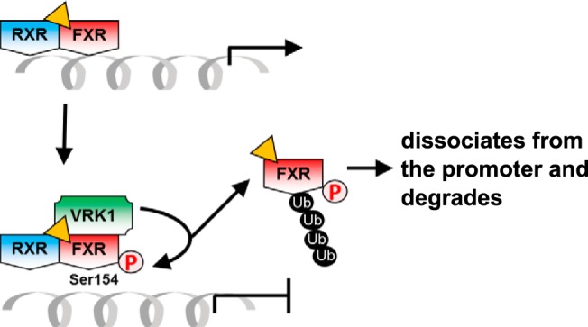 Figure 9.