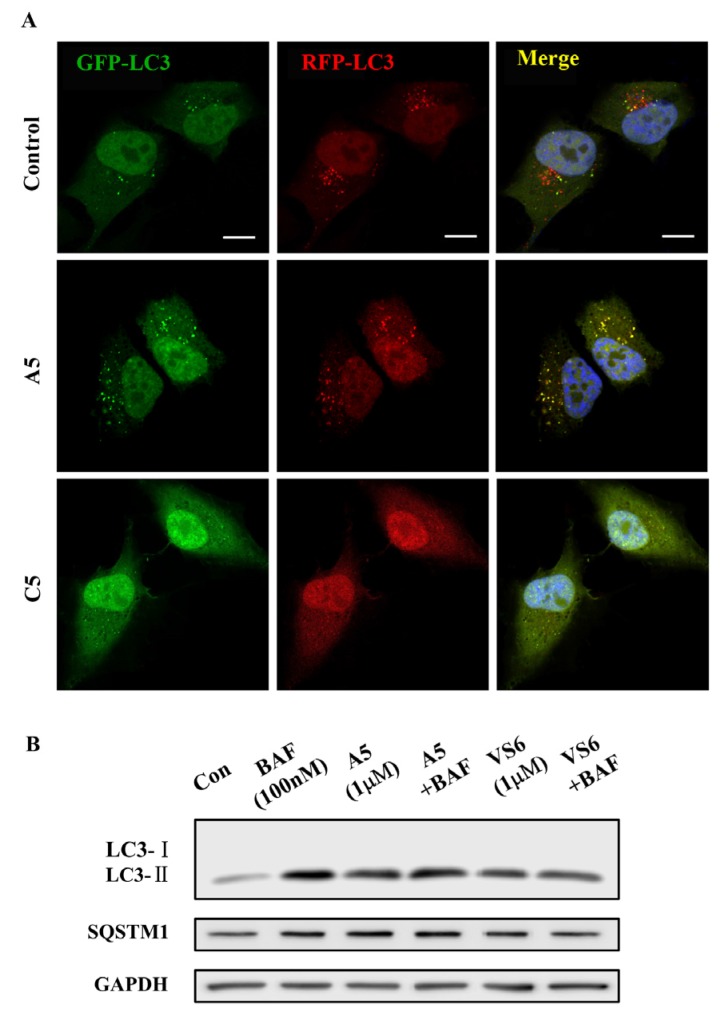 Figure 5