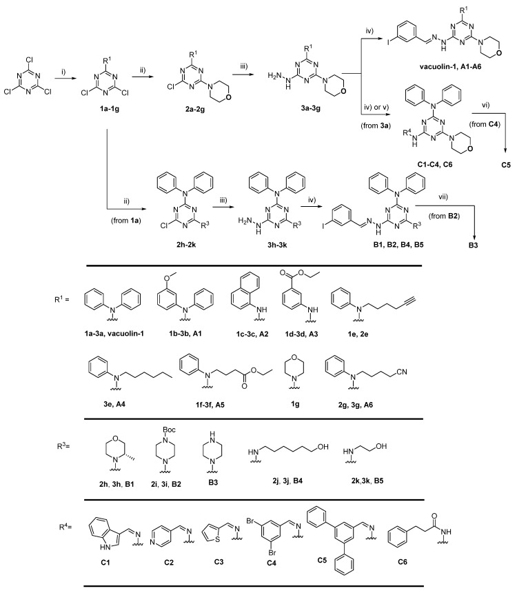 Scheme 1