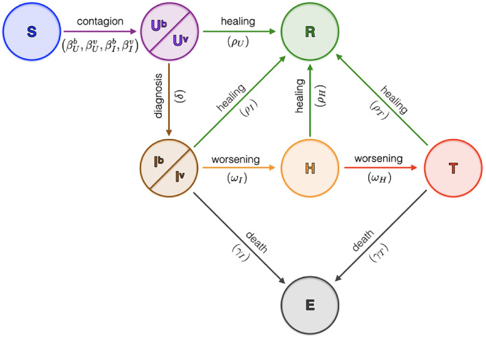 FIGURE 17