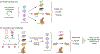 Figure 4-