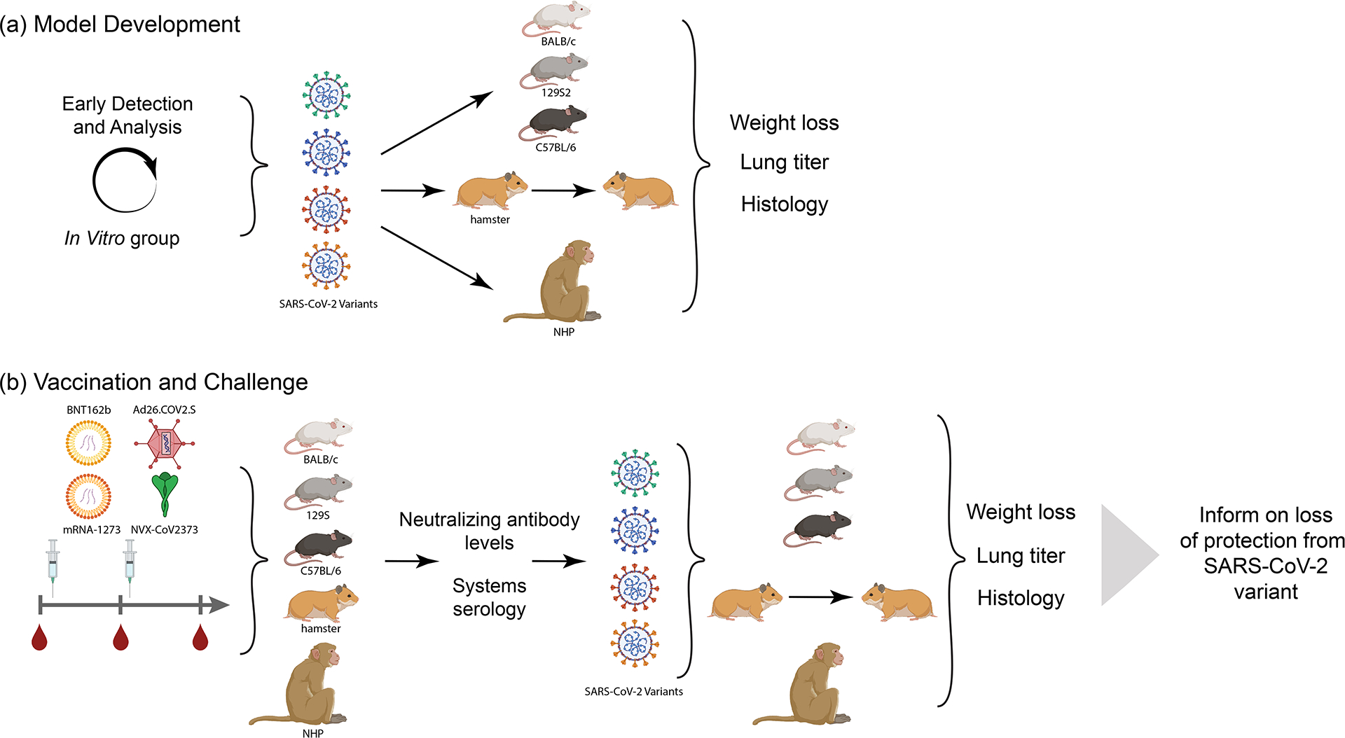 Figure 4-