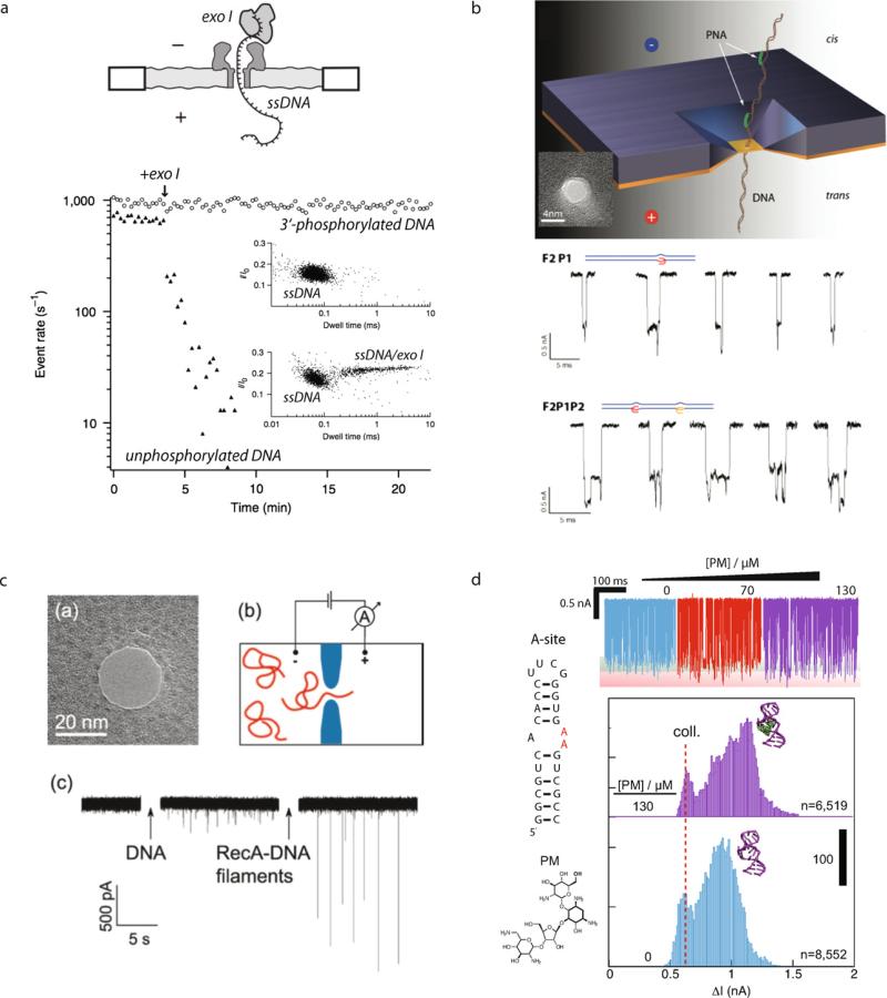 Fig. 14