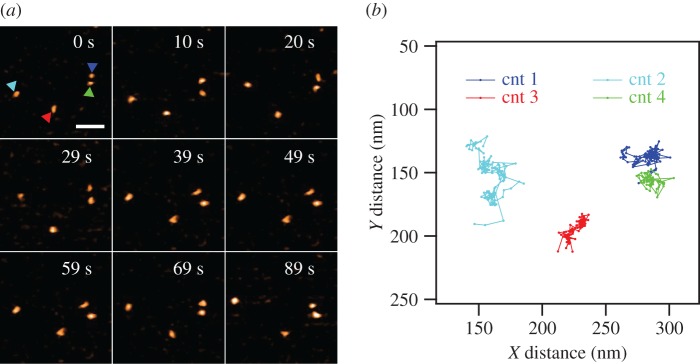 Figure 2.