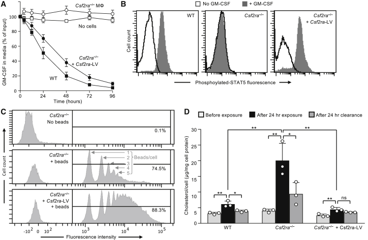 Figure 3