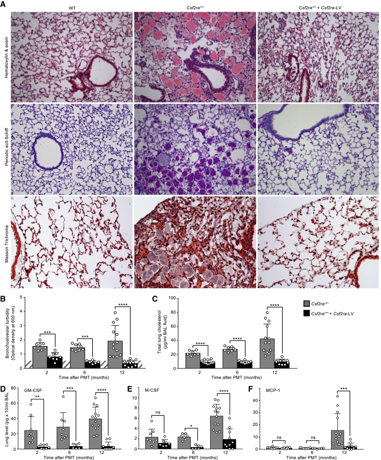 Figure 5