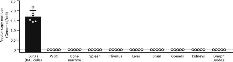 Figure 8