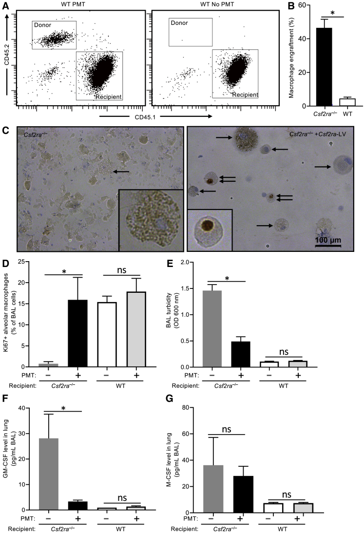 Figure 6