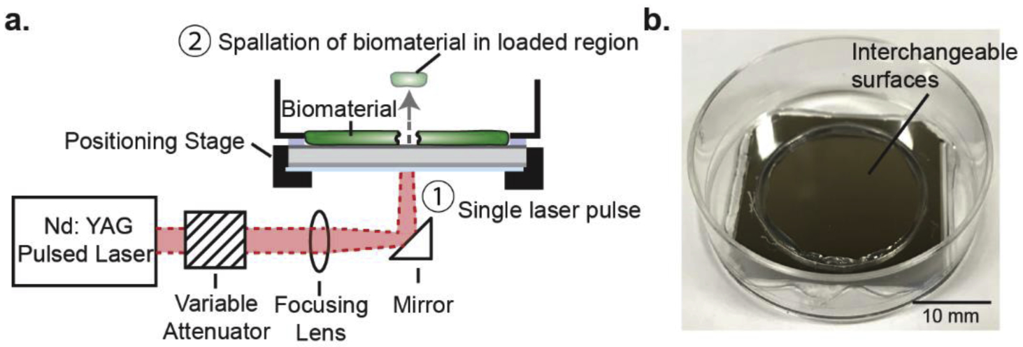 Fig. 2.