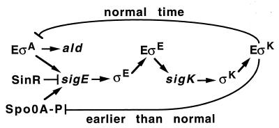 FIG. 7