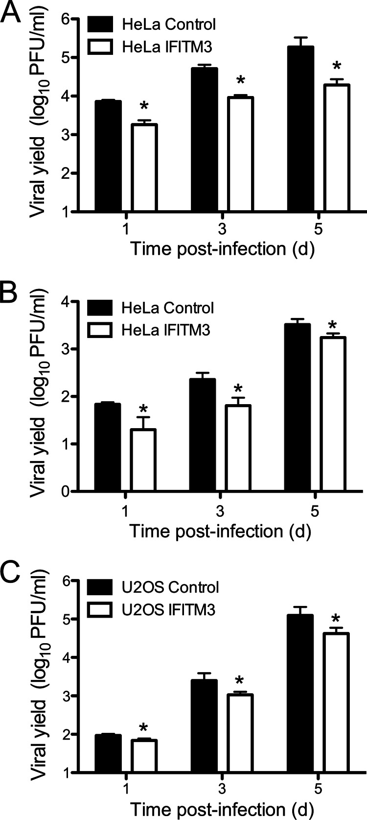 FIGURE 3.