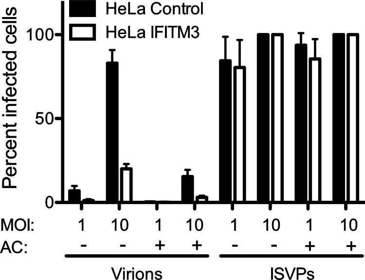 FIGURE 5.