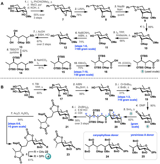 Scheme 1