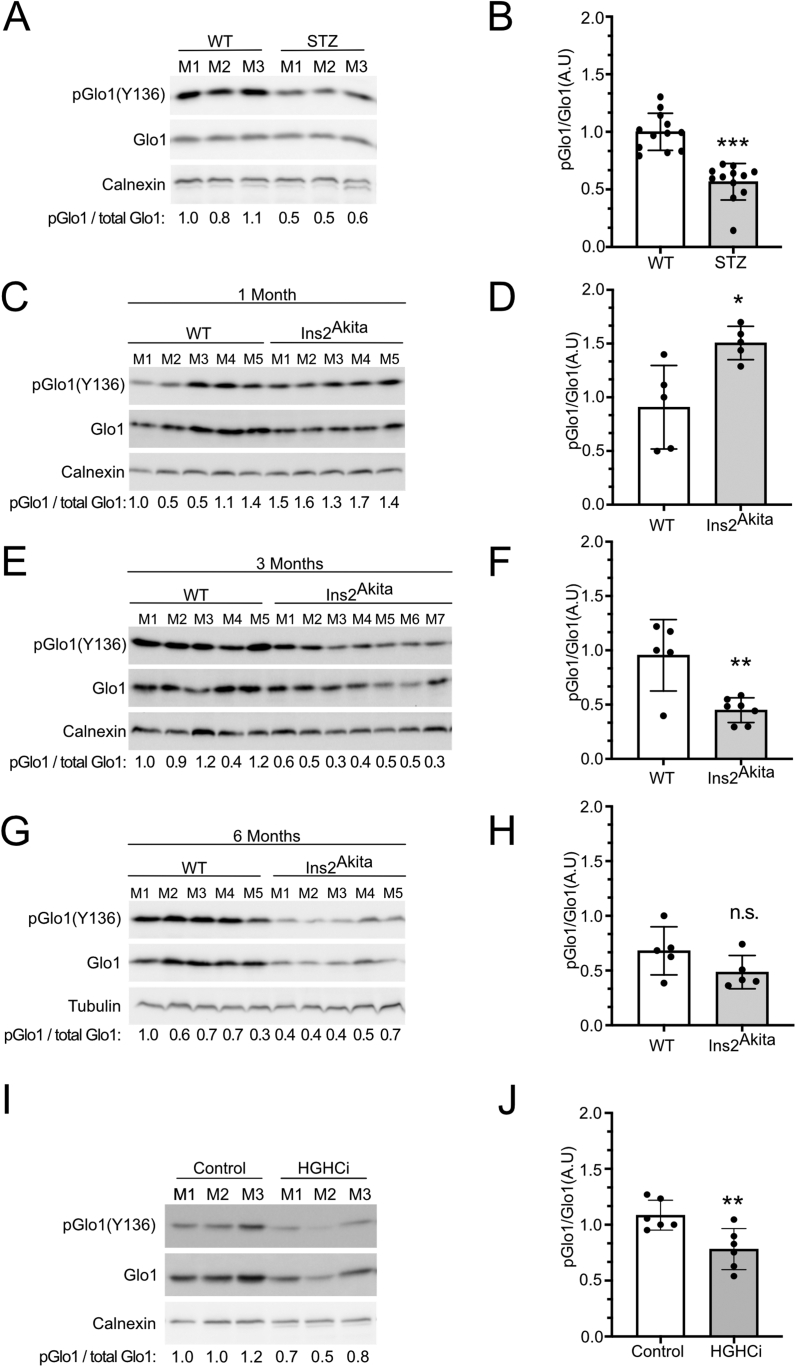 Figure 5