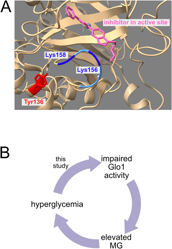 Figure 6