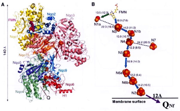 Fig. 1