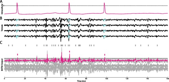 Fig. 4