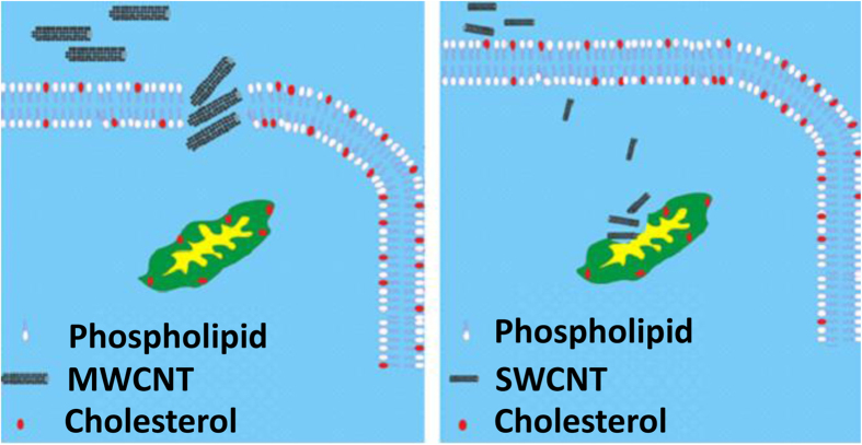 Figure 22