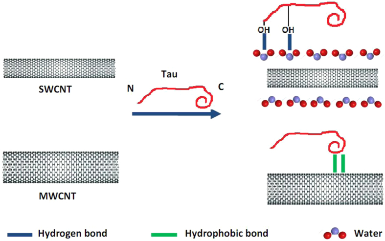 Figure 19