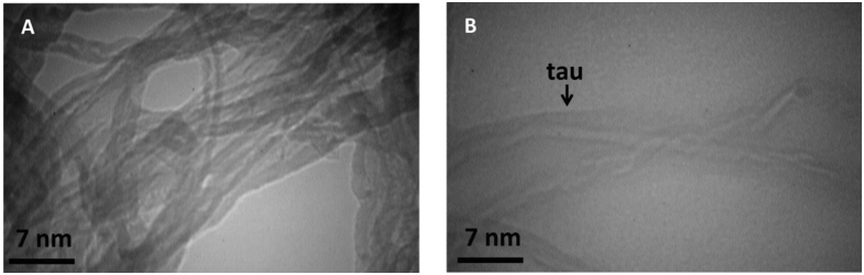 Figure 21