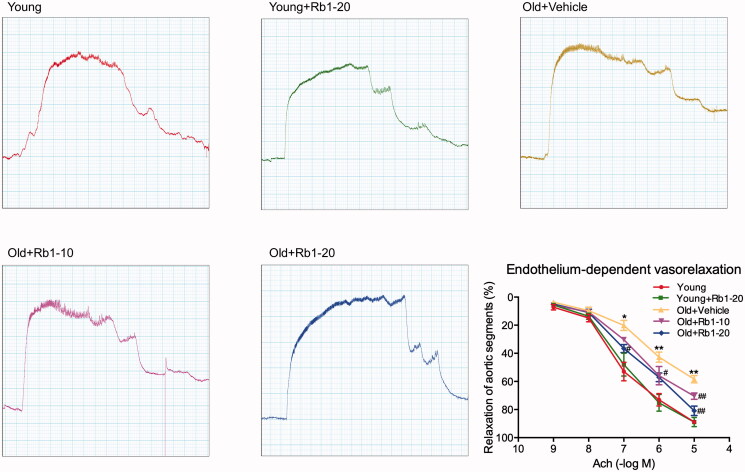 Figure 2.