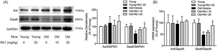 Figure 5.