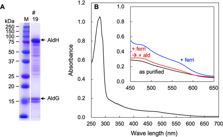 FIG 4