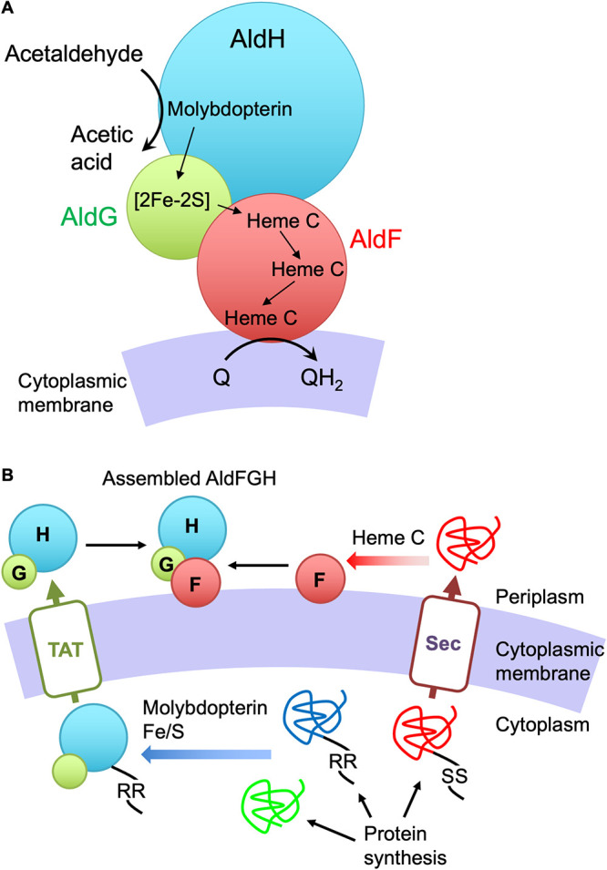 FIG 6